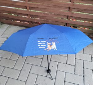 Mehr über den Artikel erfahren Regenschirm