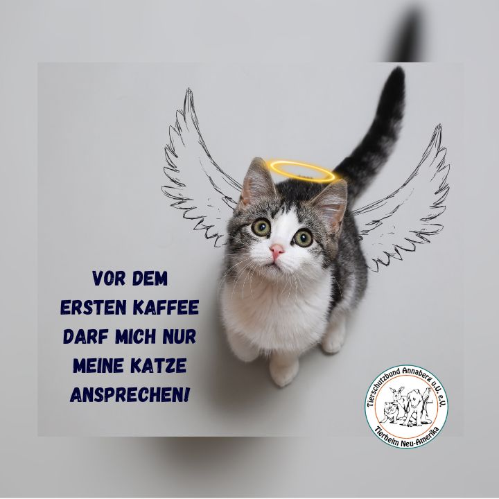 #4 Katze - Kaffee