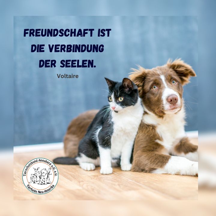 #7 Freundschaft