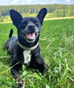 Mehr über den Artikel erfahren Lina