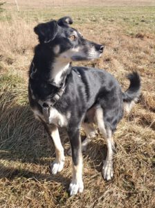 Mehr über den Artikel erfahren Milo