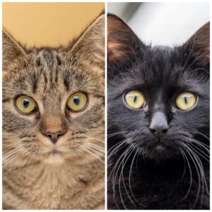 Mehr über den Artikel erfahren Tabea-Berta & Ursula