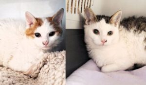 Mehr über den Artikel erfahren Bernhard & Bianca