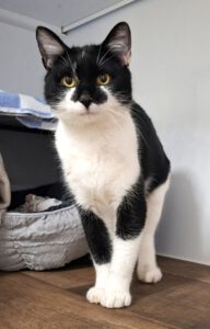 Mehr über den Artikel erfahren Frederick