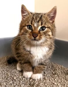 Mehr über den Artikel erfahren Goran