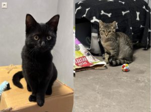 Mehr über den Artikel erfahren Tabea-Berta & Ursula