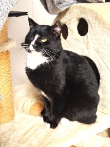 Mehr über den Artikel erfahren Loriot