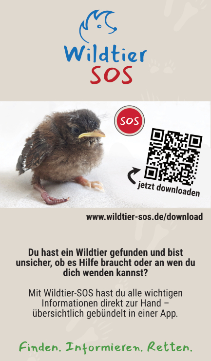 Flyer_Wildtier-SOS