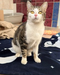 Mehr über den Artikel erfahren Xina