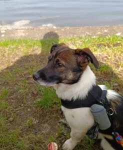 Mehr über den Artikel erfahren Mali