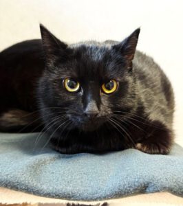 Mehr über den Artikel erfahren Vasco