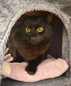 Mehr über den Artikel erfahren Vicky