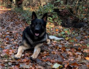 Mehr über den Artikel erfahren Xanto