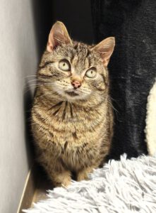 Mehr über den Artikel erfahren Aliena