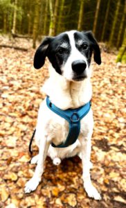 Mehr über den Artikel erfahren Eric