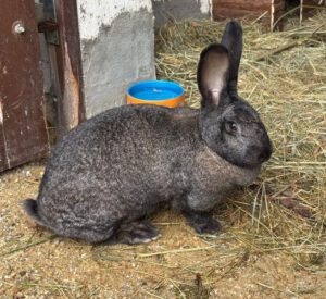 Mehr über den Artikel erfahren Larissa