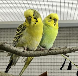 Mehr über den Artikel erfahren Marie & Pierre